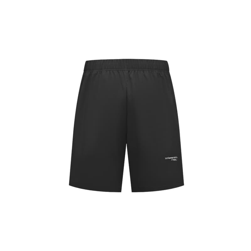Шорты DESCENTE TRAINING SS25 - изображение 2