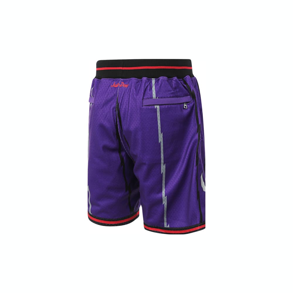 Баскетбольные шорты Mitchell&ness x Just Don Toronto Raptors Shorts - изображение 4