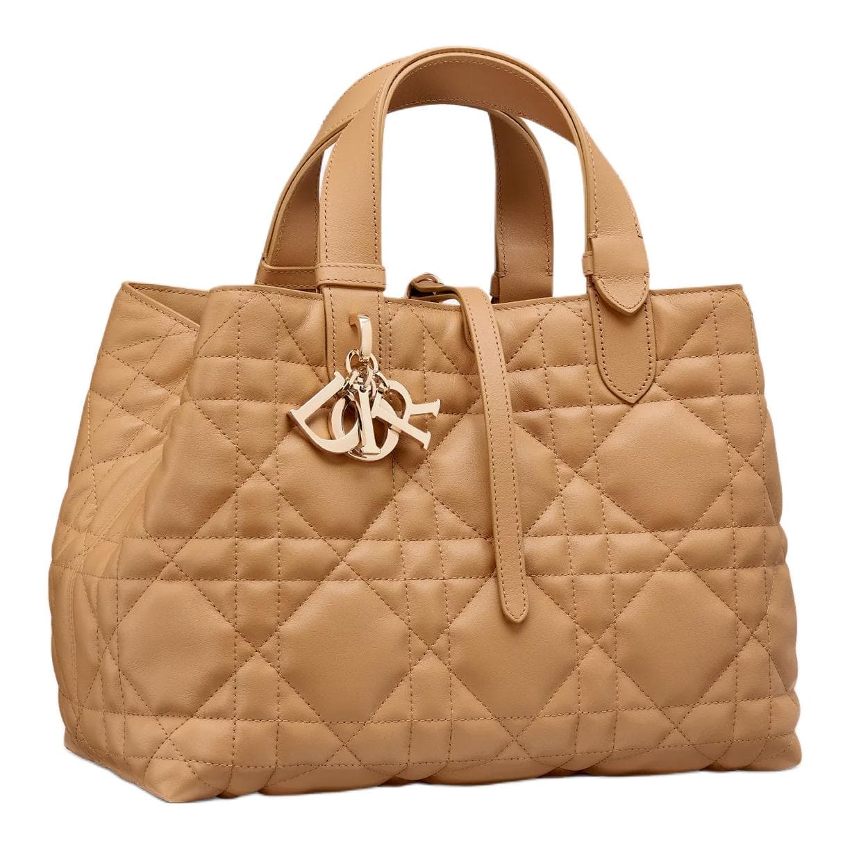 Сумка Dior Toujours Medium Handbag - изображение 4