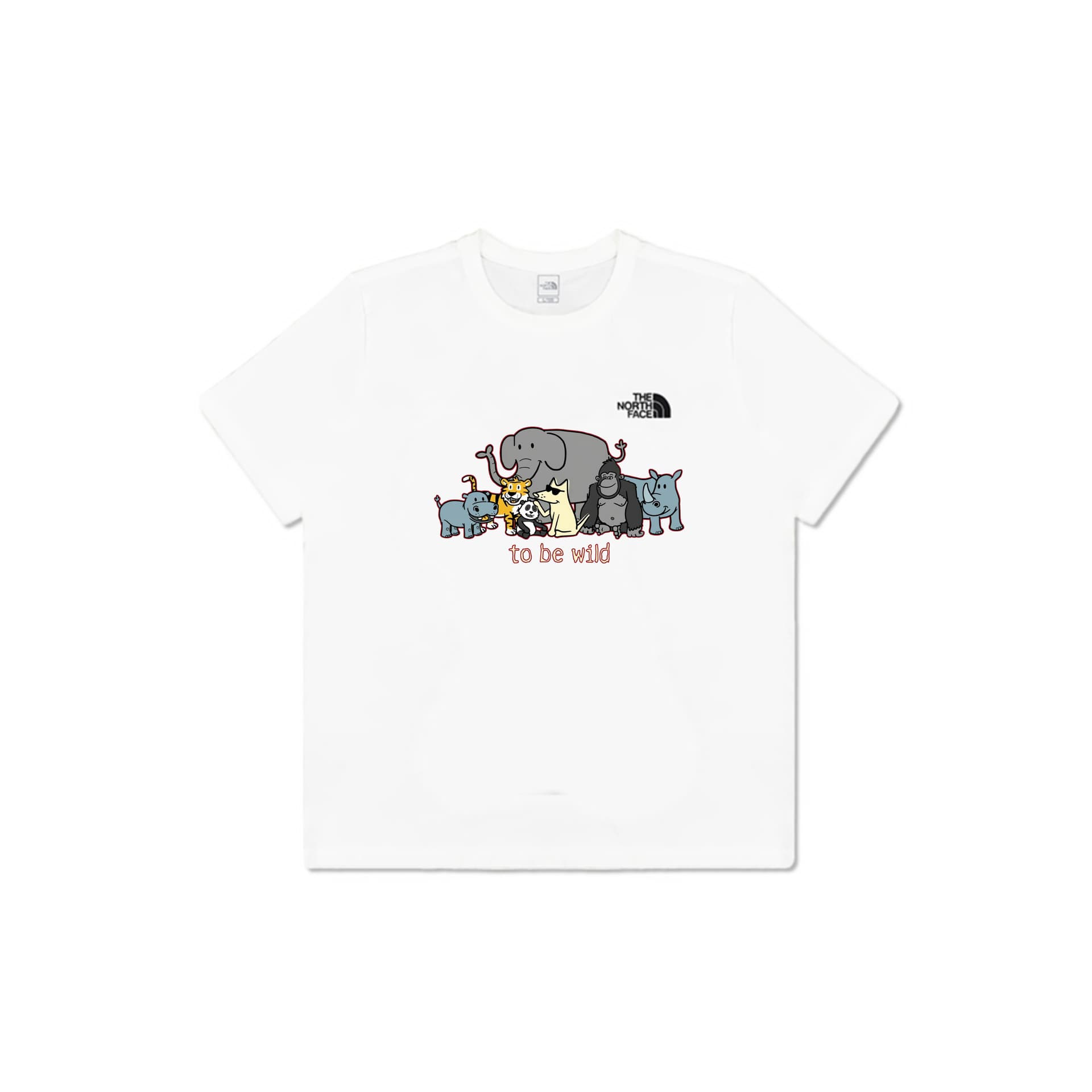 Футболка THE NORTH FACE T