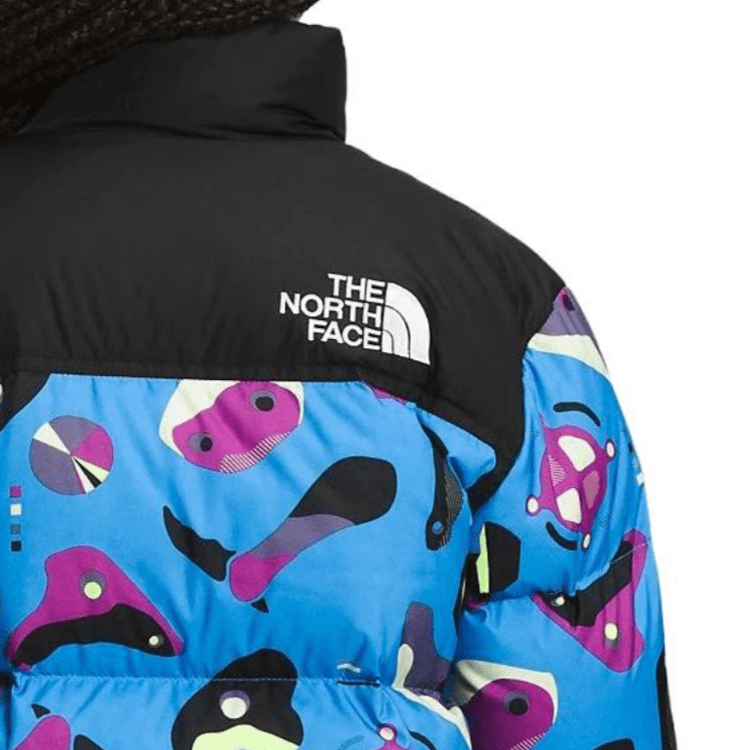 THE NORTH FACE - изображение 4