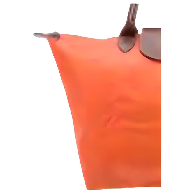 Сумка LONGCHAMP Le Pliage ORIGINA 30 - изображение 2