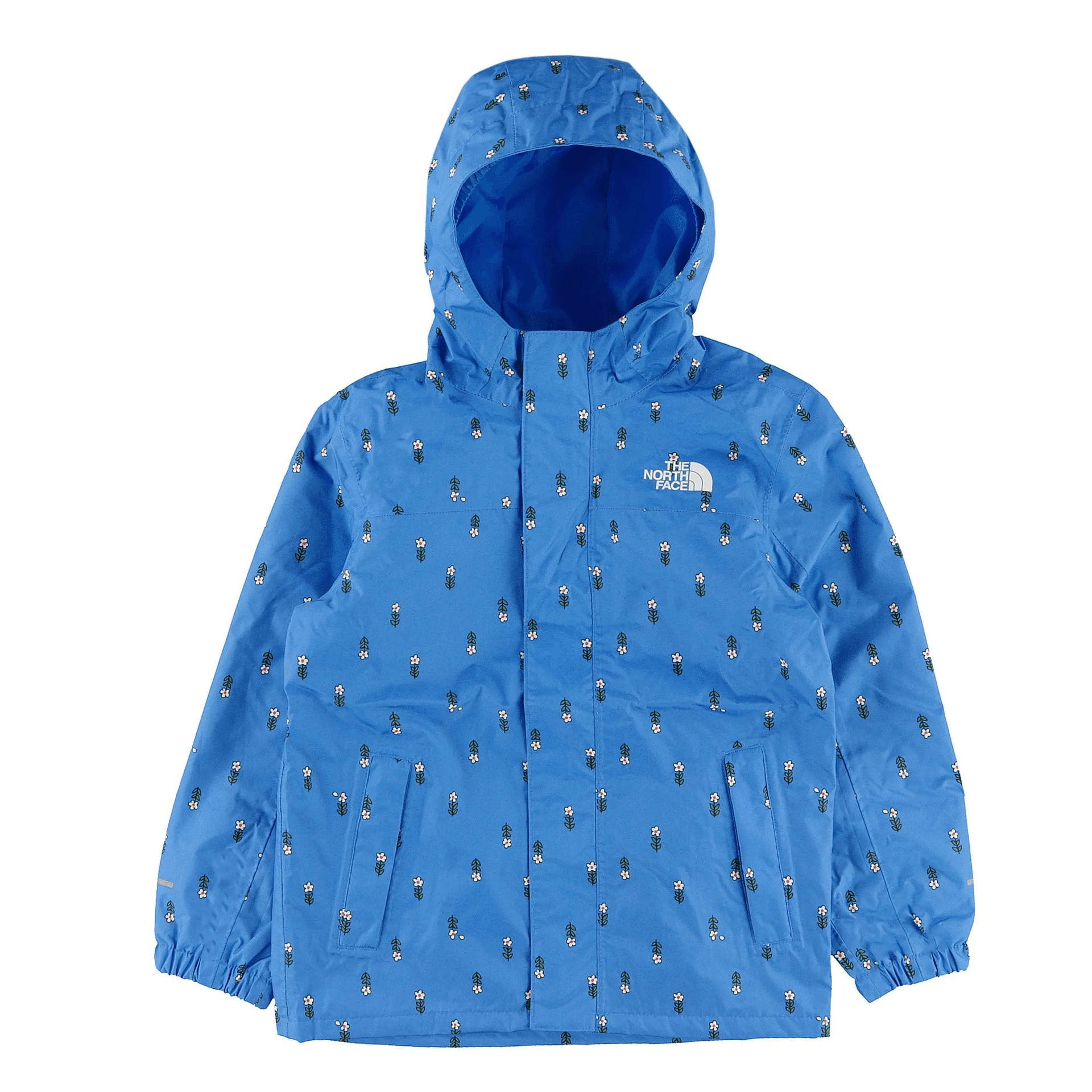 THE NORTH FACE Logo - изображение 1