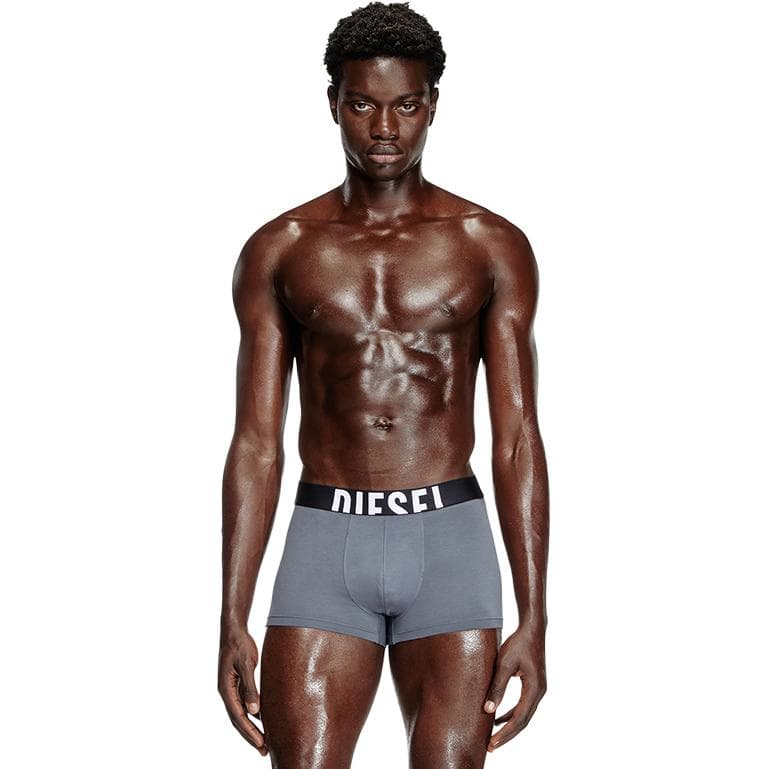 Трусы DIESEL Boxers Мужские 4 Пачки - изображение 2