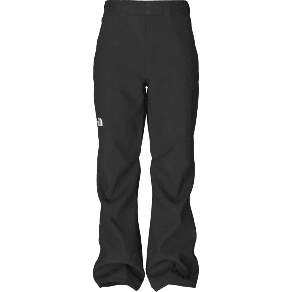 Штаны THE NORTH FACE - изображение 1