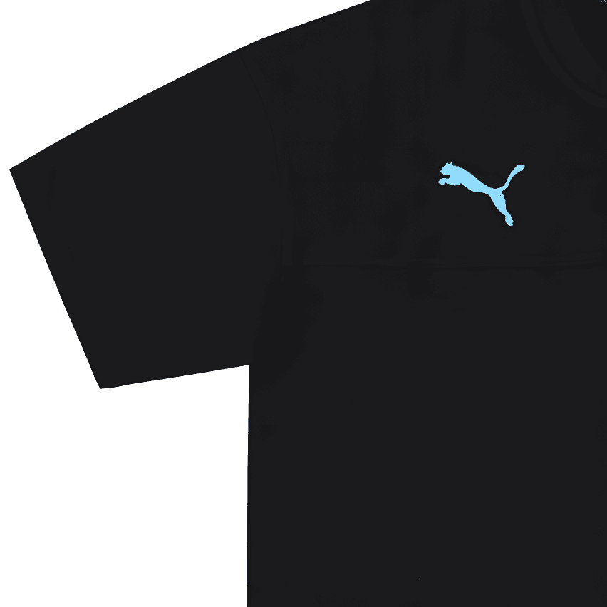 PUMA logo 2019-20 - изображение 3