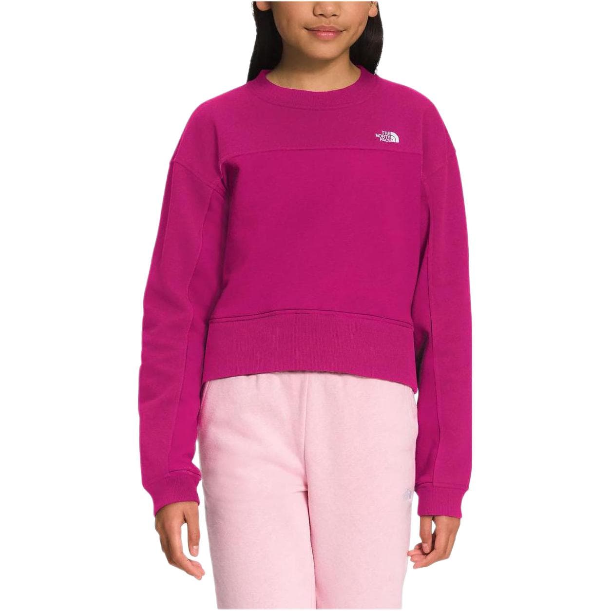 THE NORTH FACE Loge - изображение 1