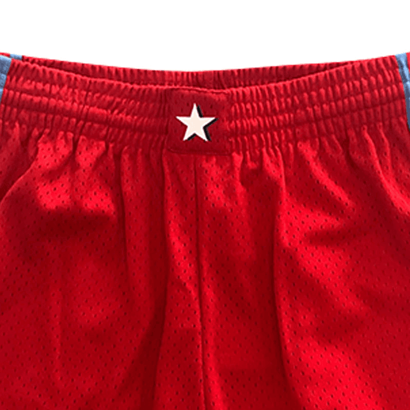 Баскетбольные шорты Mitchell Ness SW 96 - изображение 4