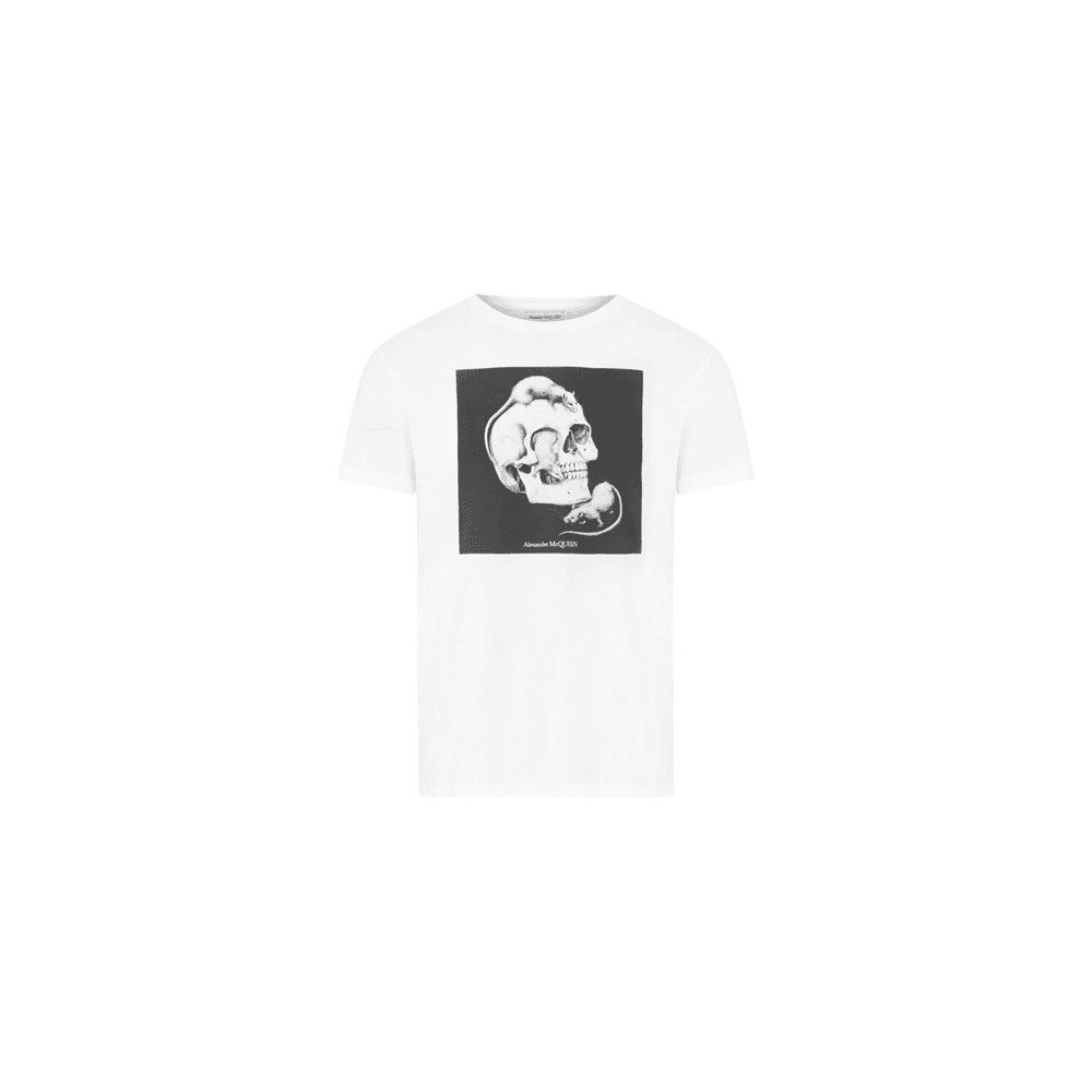 Футболка Alexander McQueen T - изображение 1