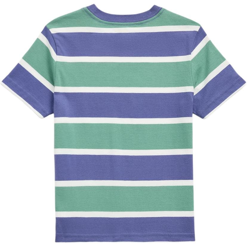 Футболка Рубашка Polo Ralph Lauren T многоцветная детская - изображение 2