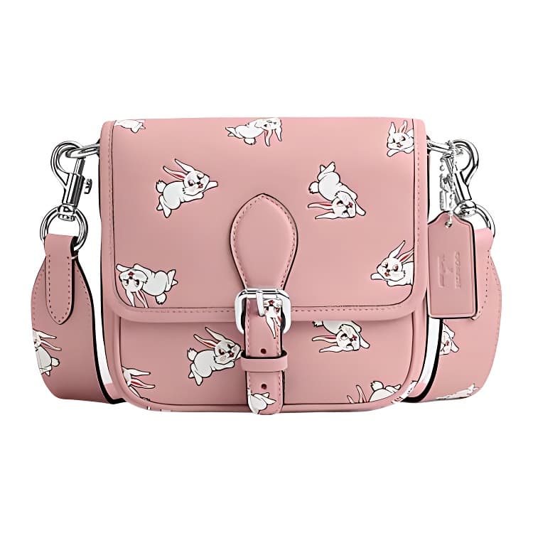 Сумка через плечо COACH X Frankie 17 - изображение 1
