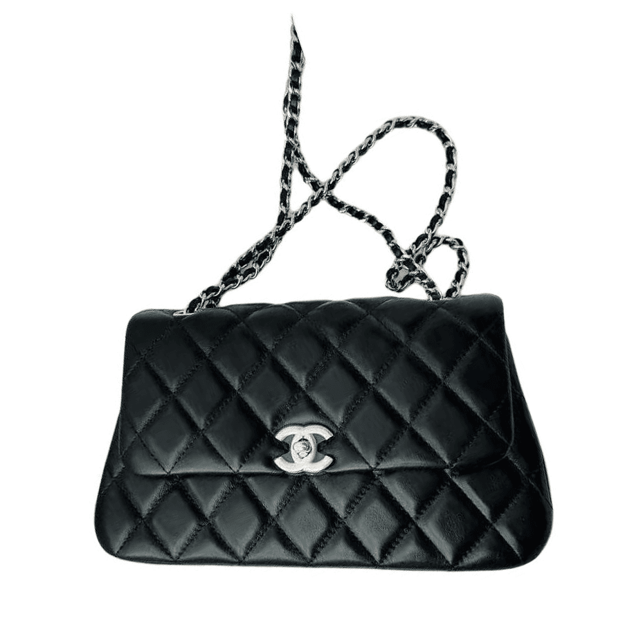 Сумка через плечо CHANEL 25S - изображение 2