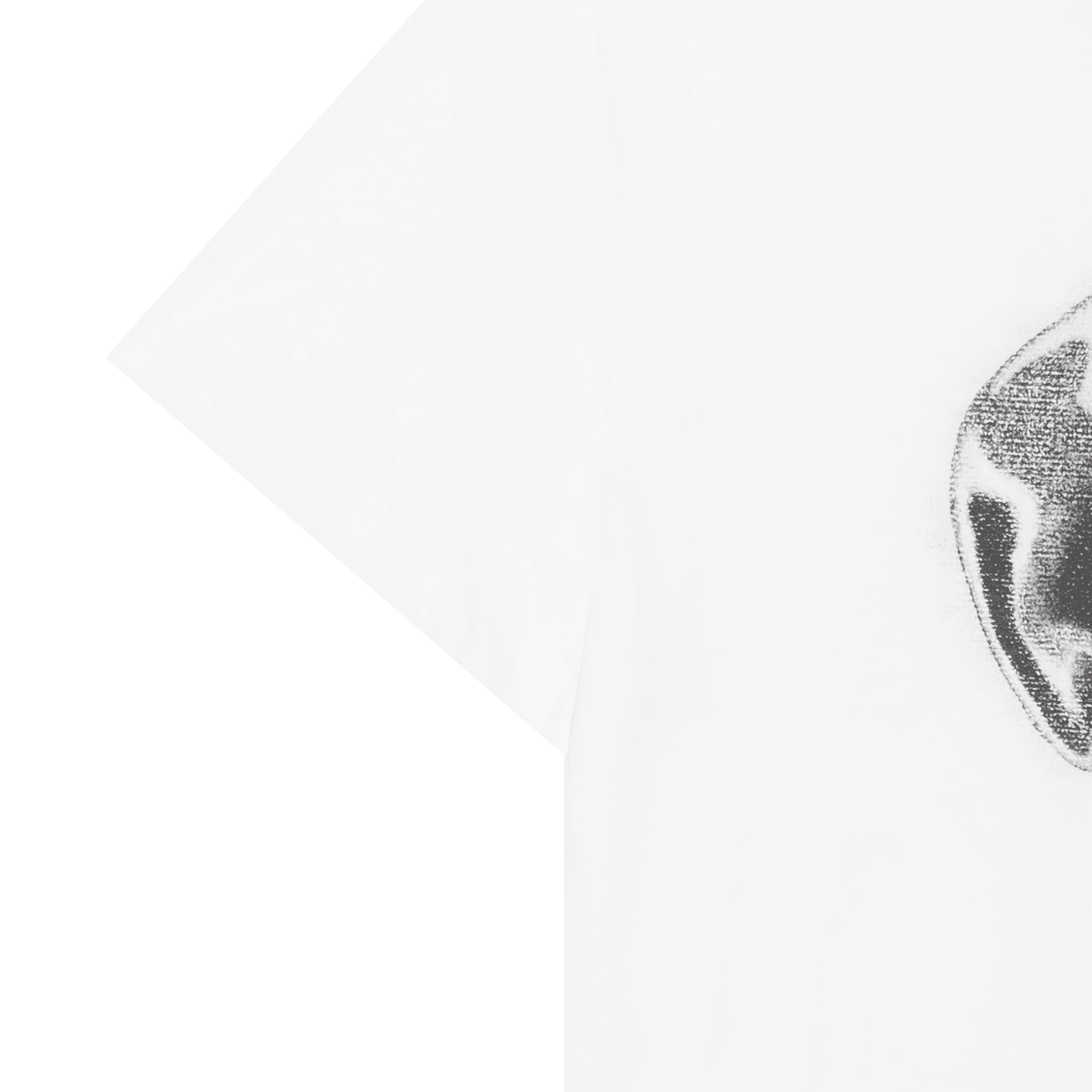 Футболка Alexander McQueen T - изображение 4