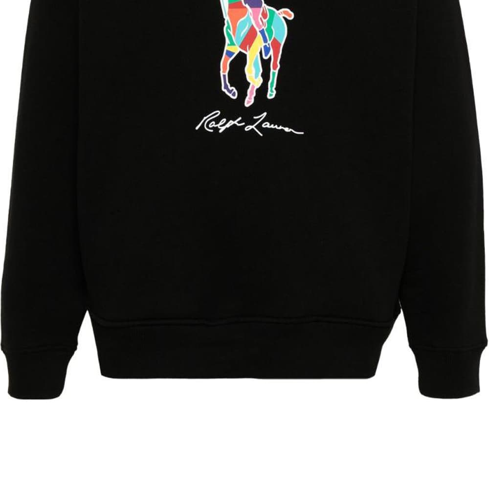 Худи Polo Ralph Lauren FW23 Logo - изображение 6