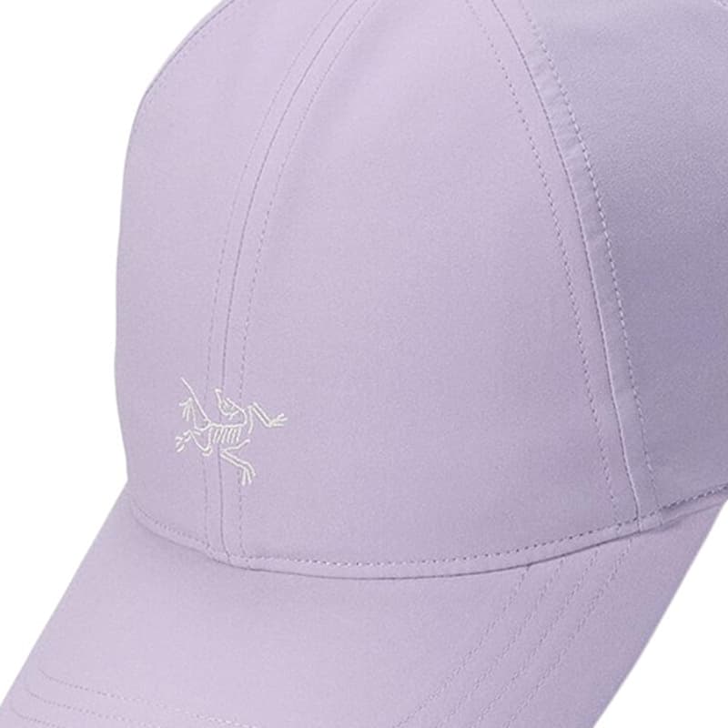 Кепка Arcteryx Logo - изображение 4