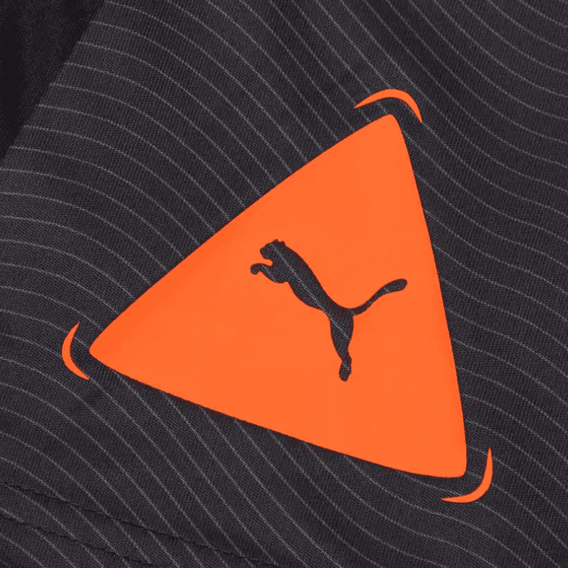 Puma - изображение 4
