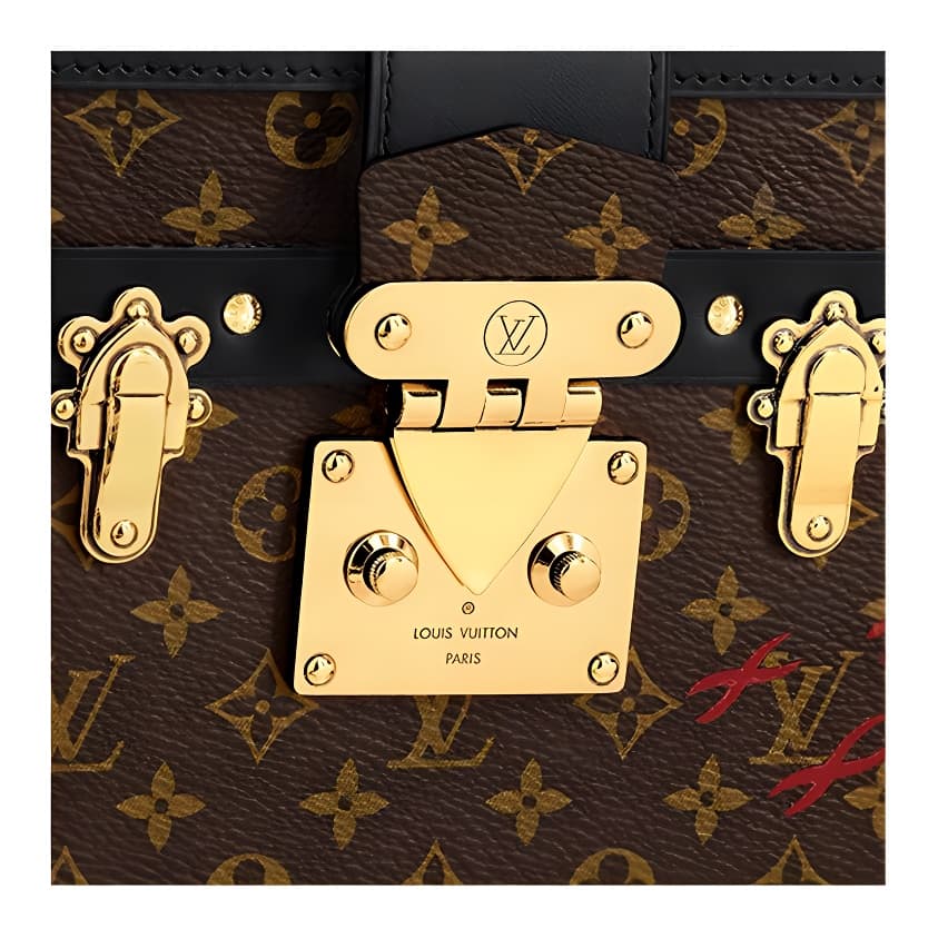 Сумка через плечо LOUIS VUITTON PETITE MALLE S-lock - изображение 5