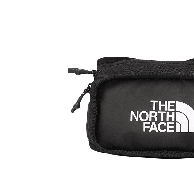 THE NORTH FACE Logo - изображение 5