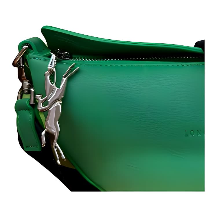 Мини-сумка LONGCHAMP Smile - изображение 5