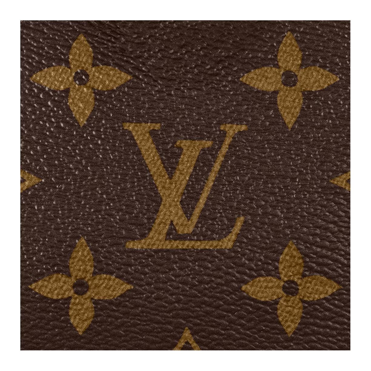 Сумка Louis Vuitton Speedy Nano - изображение 8