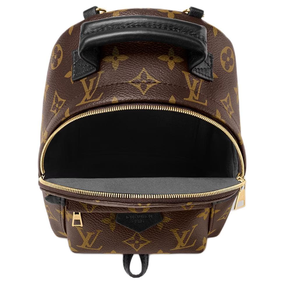 Рюкзак Louis Vuitton Palm Springs Mini - изображение 7
