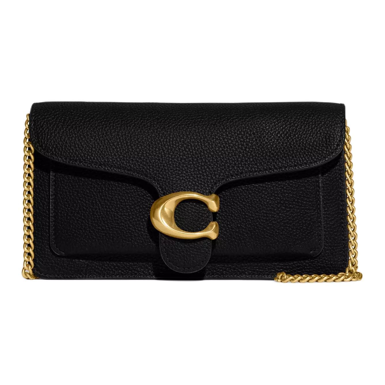 Сумка COACH Chain 20 - изображение 1