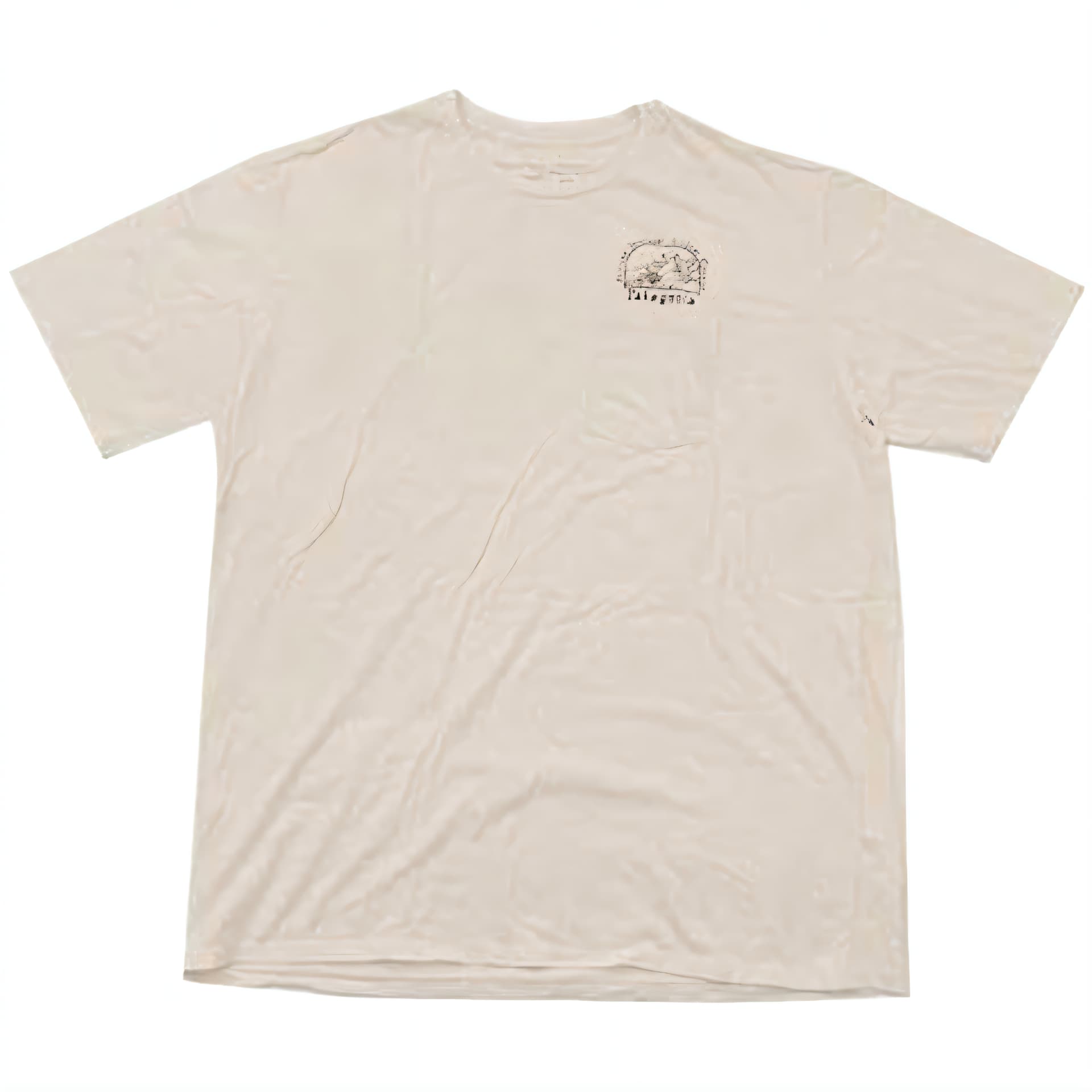 Футболка Patagonia Мужские T-рубашки - изображение 1