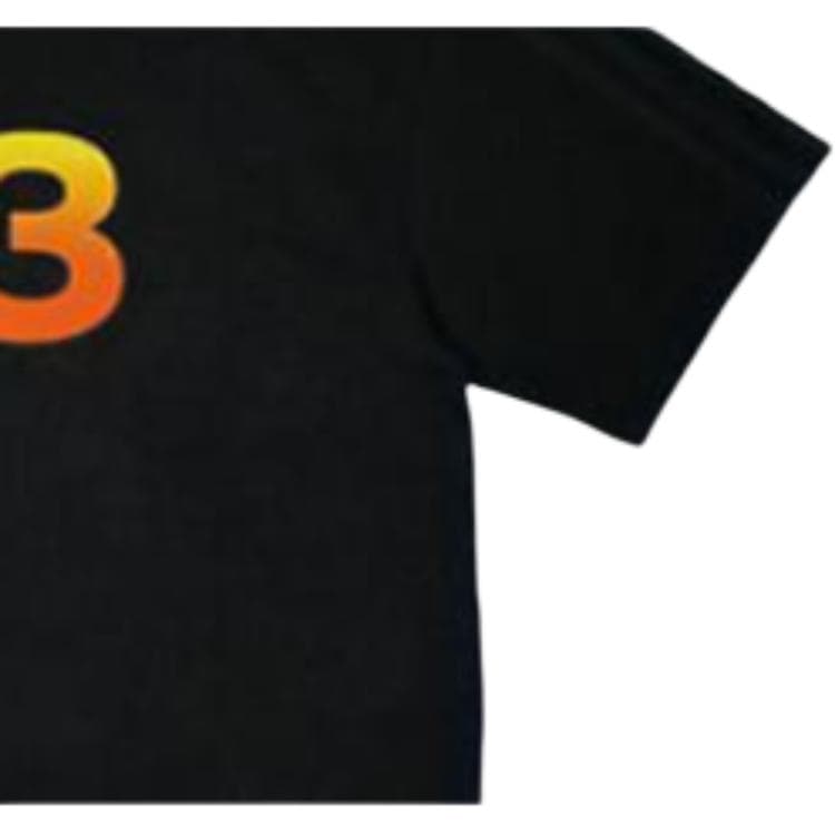 Футболка Y-3 x PALACE FW22 Black T-Shirt - изображение 3