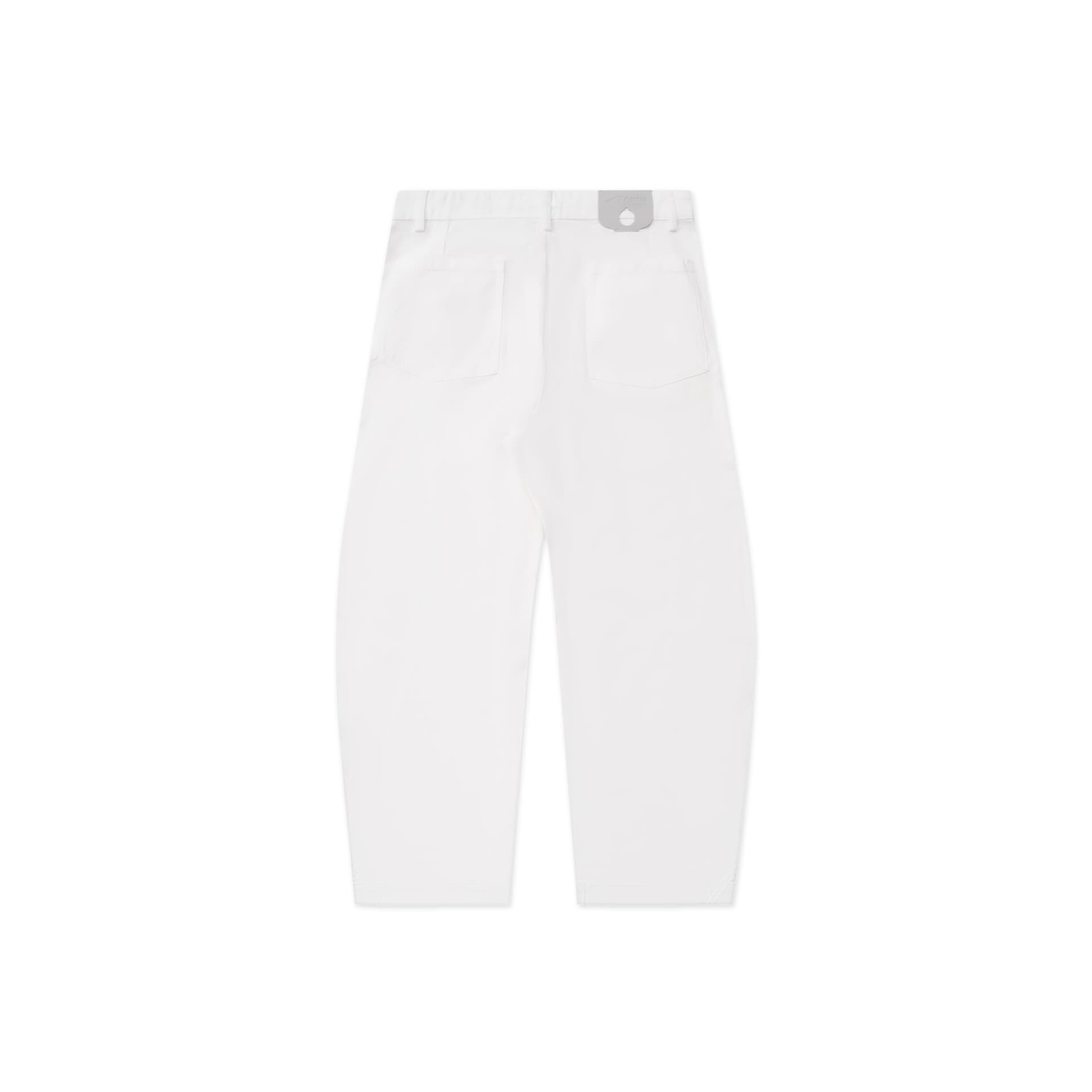 Штаны ROARINGWILD ARCH SS23 arch - изображение 2