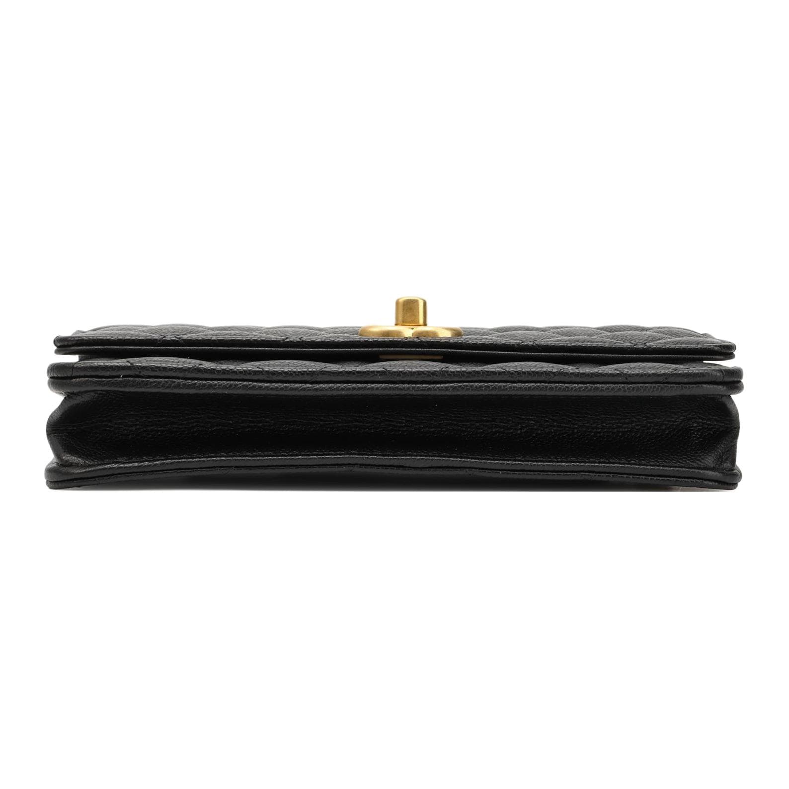 Сумка через плечо CHANEL 24P WOC - изображение 4