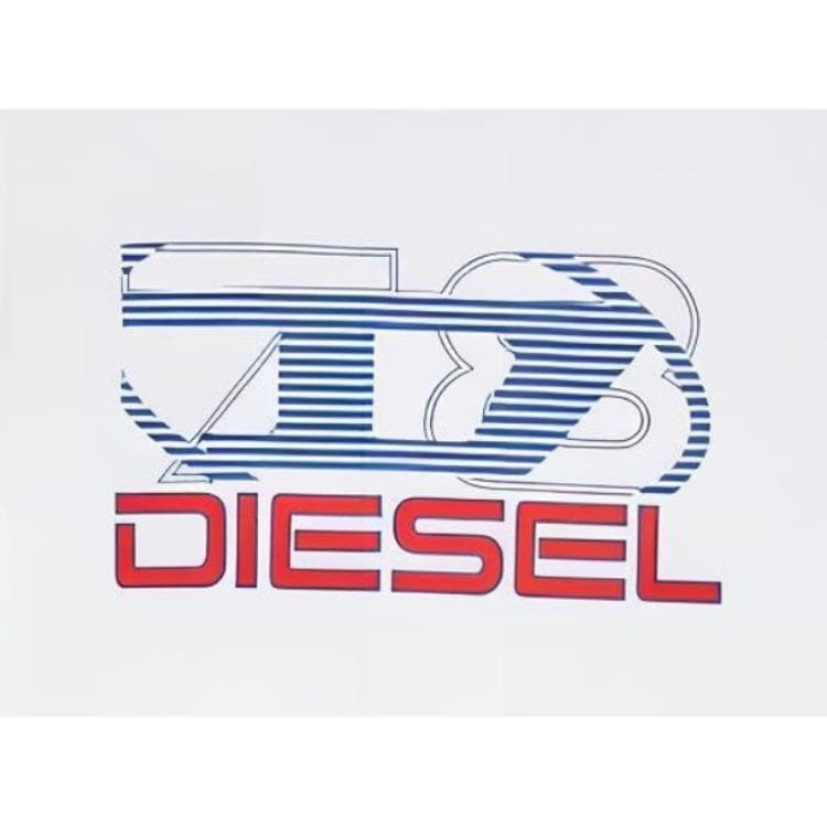 Футболка DIESEL SS24 OVAL-D T - изображение 5