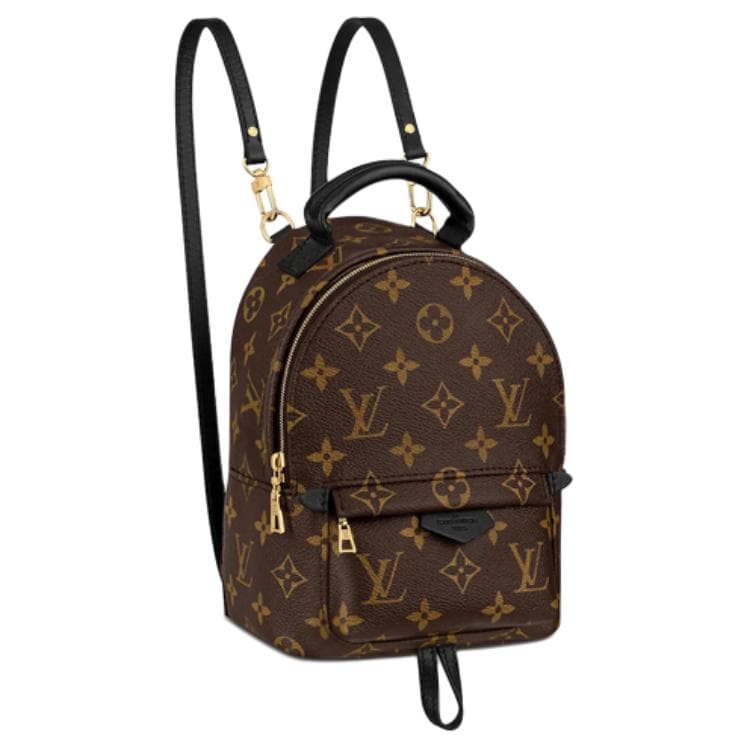 Рюкзак Louis Vuitton Palm Springs Mini - изображение 3