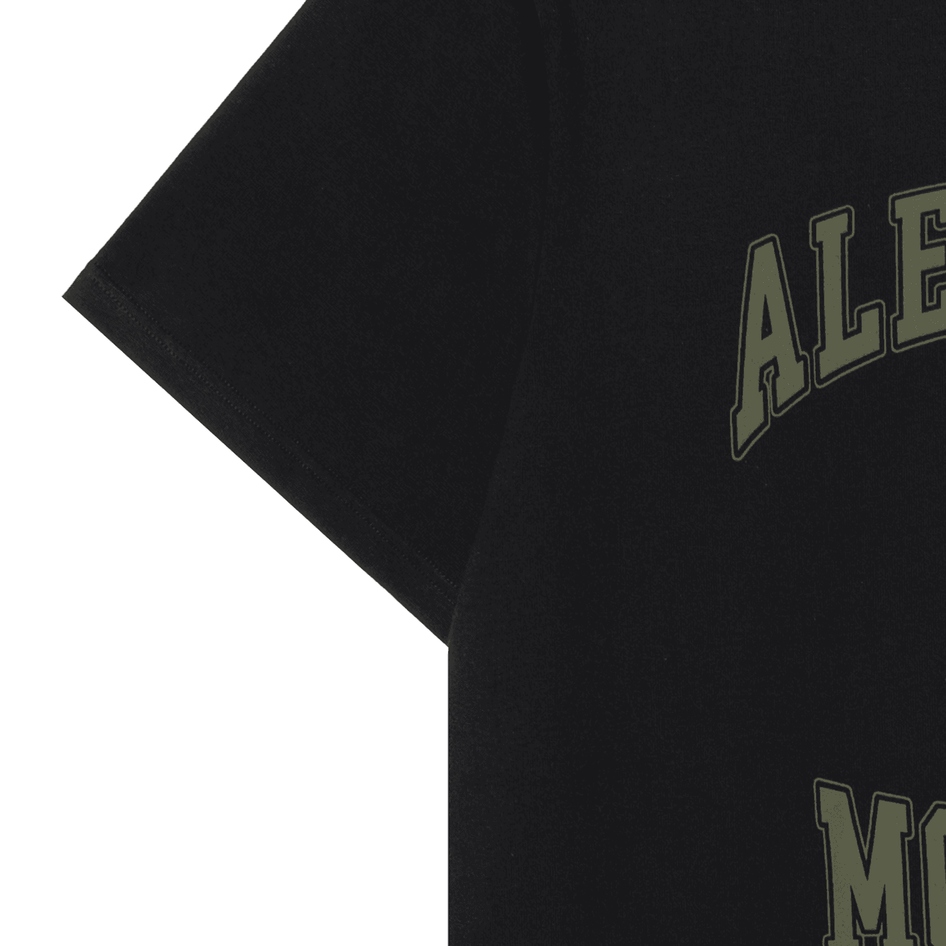 Футболка Alexander McQueen T - изображение 5