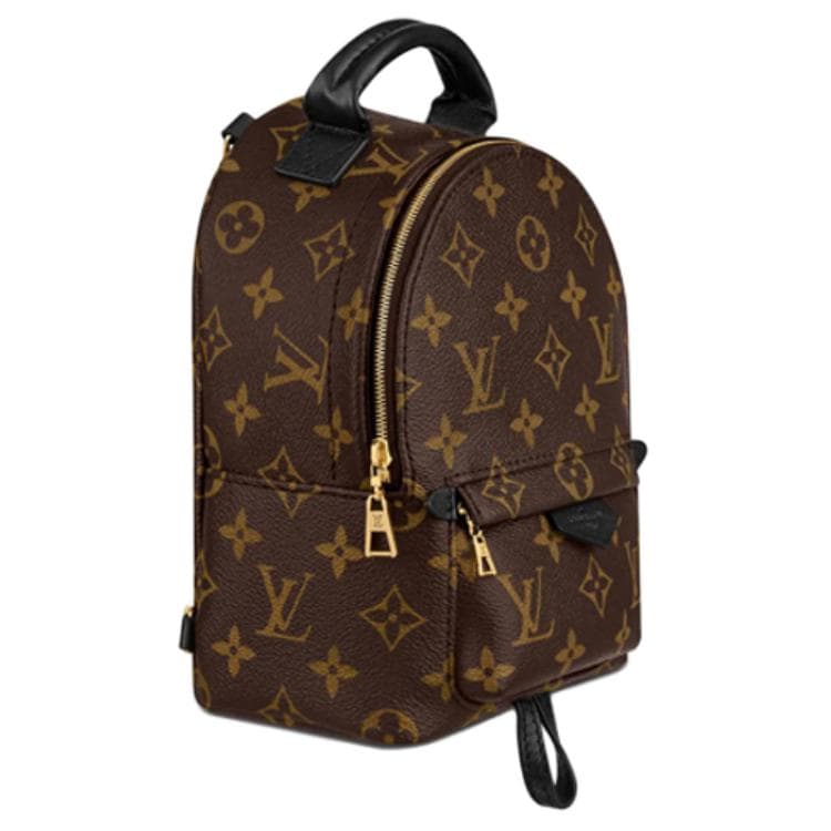 Рюкзак Louis Vuitton Palm Springs Mini - изображение 6