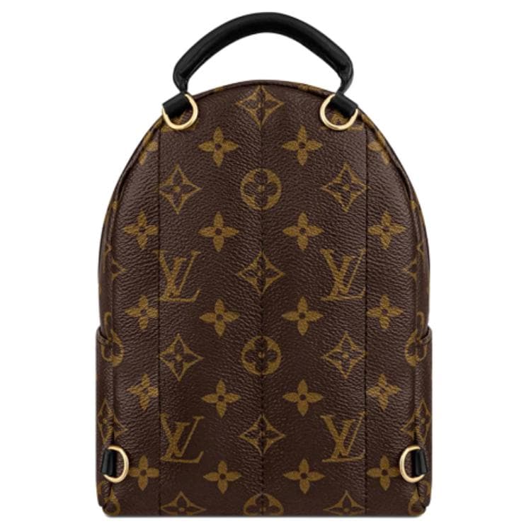 Рюкзак Louis Vuitton Palm Springs Mini - изображение 5