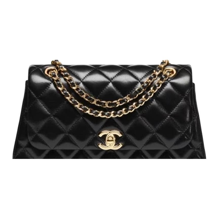 Сумка через плечо CHANEL 25S - изображение 4