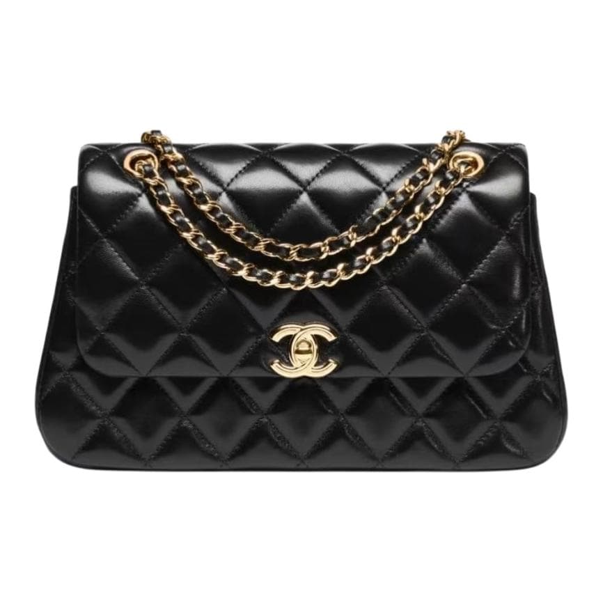 Сумка через плечо CHANEL 25S - изображение 1