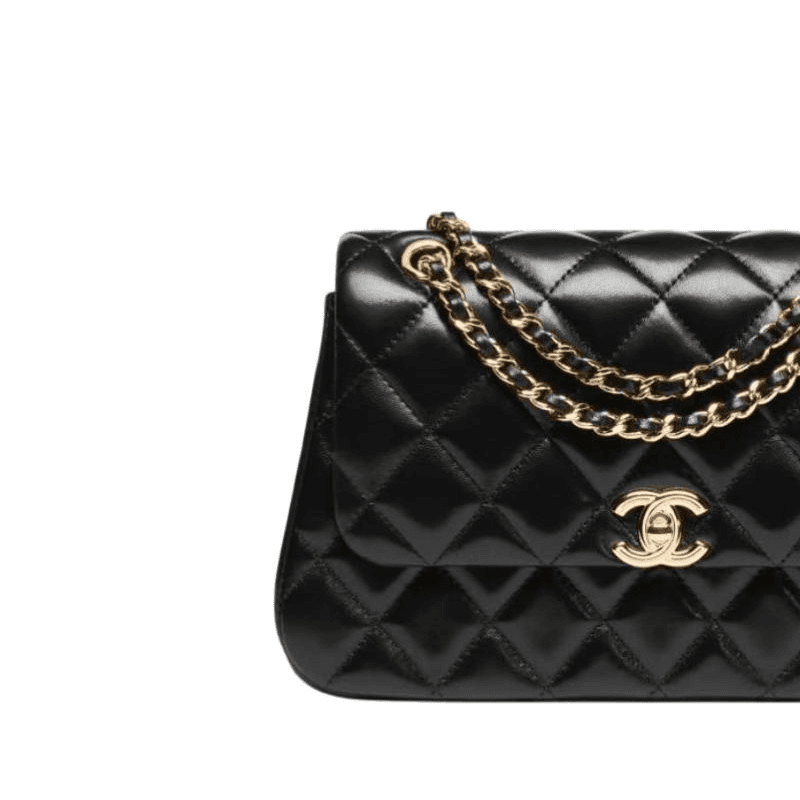 Сумка через плечо CHANEL 25S - изображение 3
