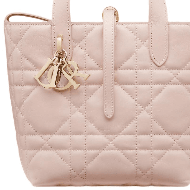 Сумка DIOR Toujours Tote Small Blush Pink - изображение 6
