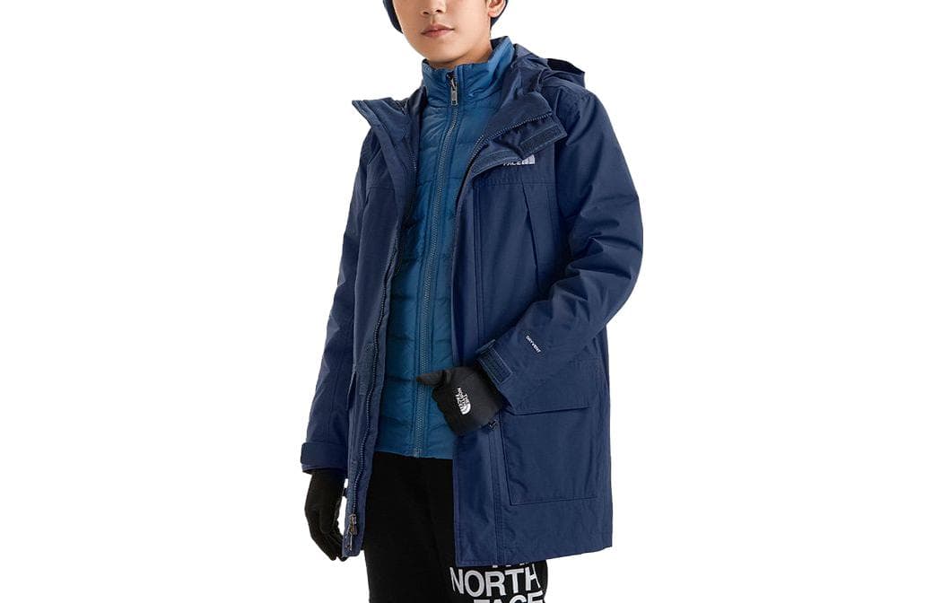 THE NORTH FACE Logo - изображение 1