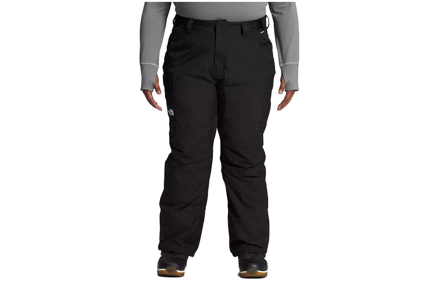 Штаны THE NORTH FACE Plus Freedom Logo - изображение 1