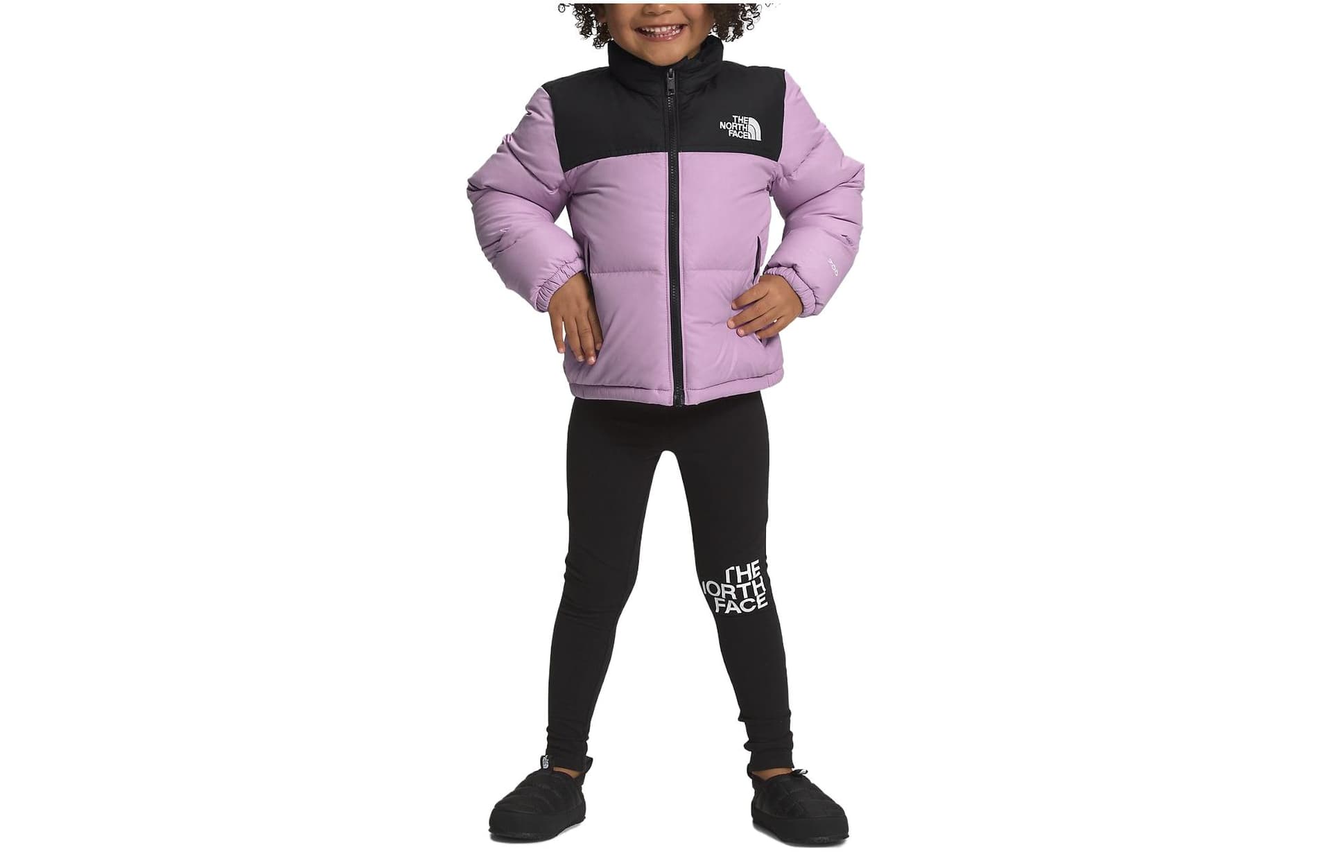 THE NORTH FACE - изображение 1