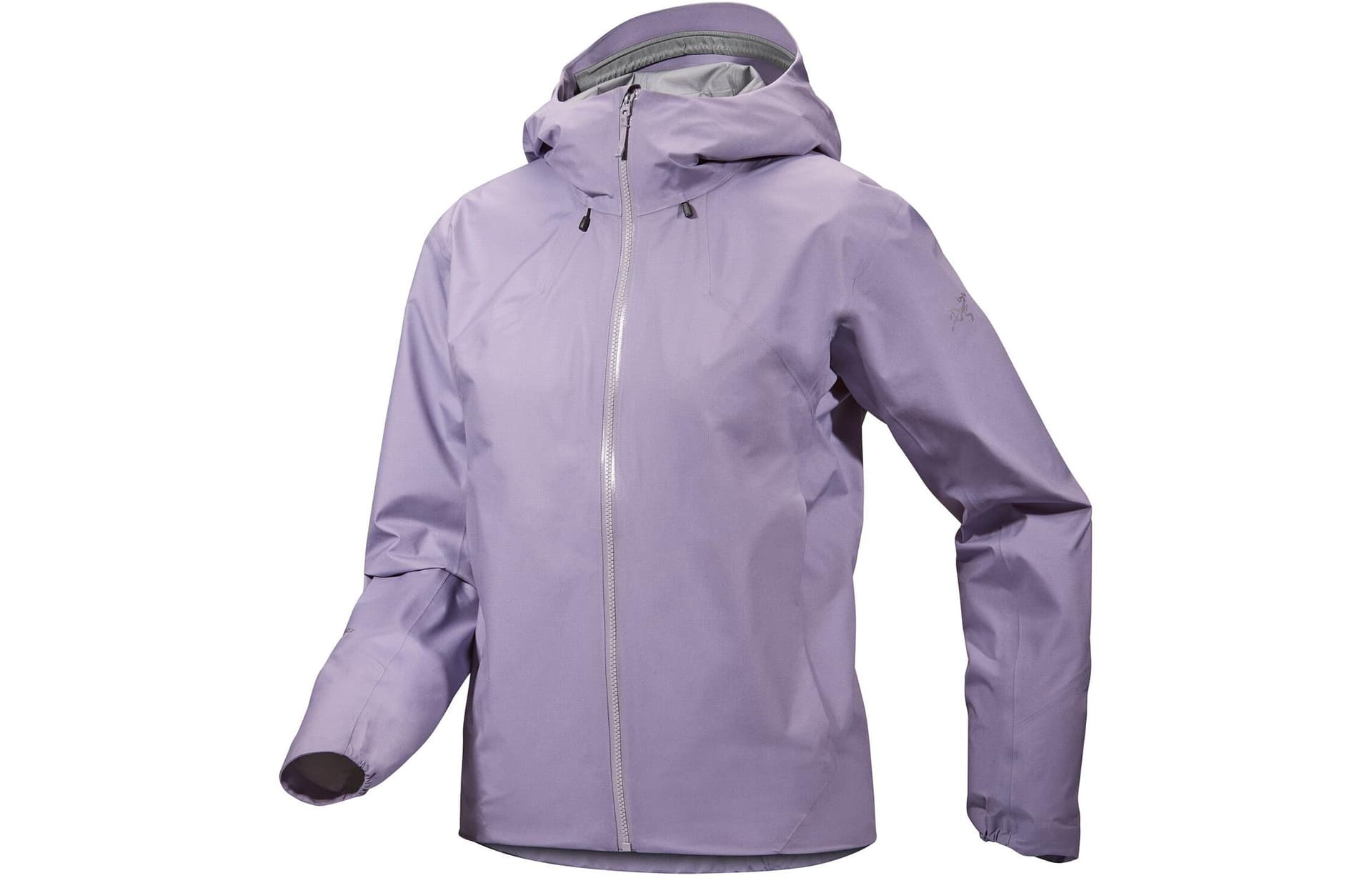 Куртка Arcteryx GORE TEX Coelle logo