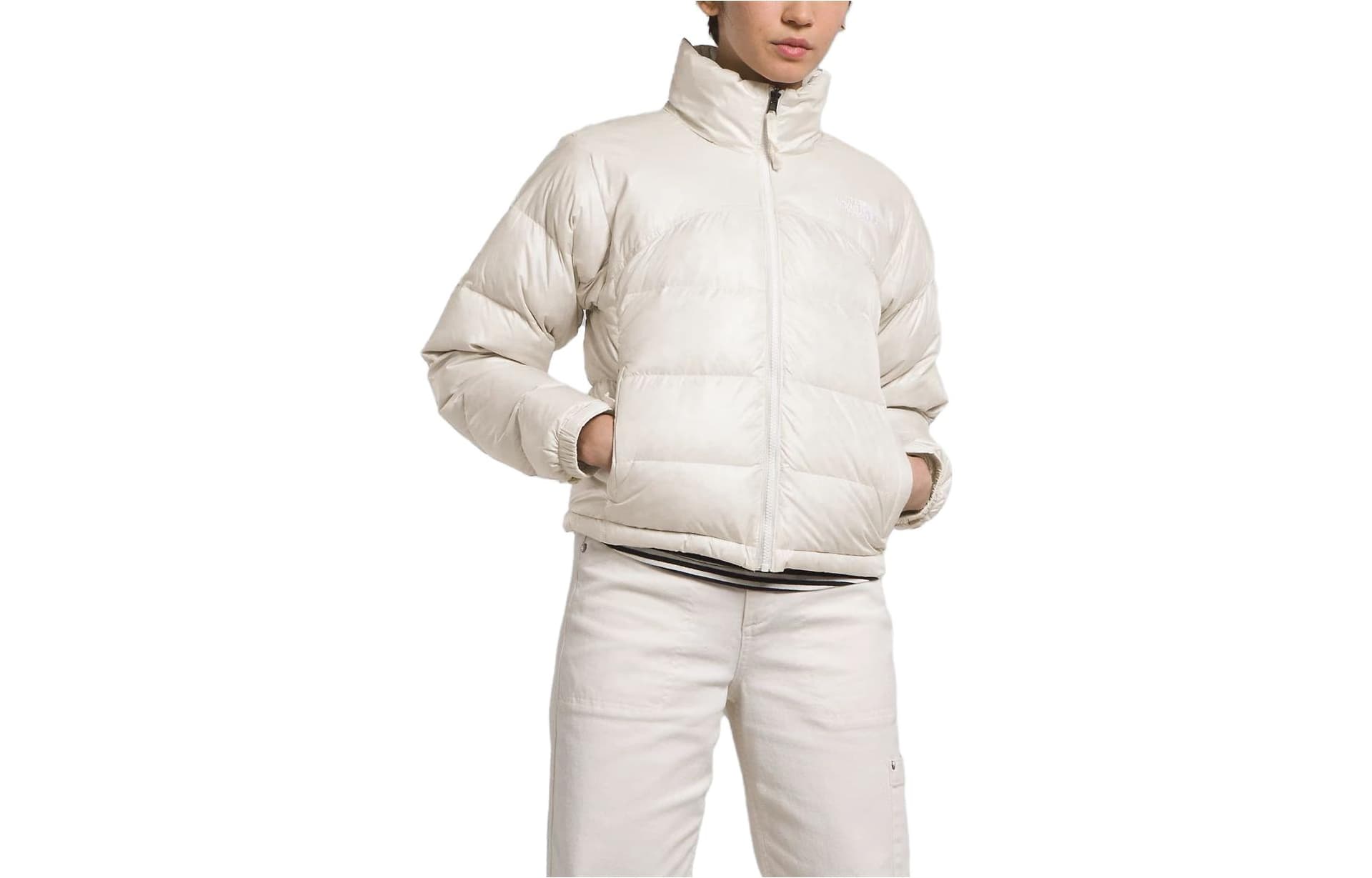 Куртка THE NORTH FACE 2000 Retro Nuptse Jacket Logo - изображение 1