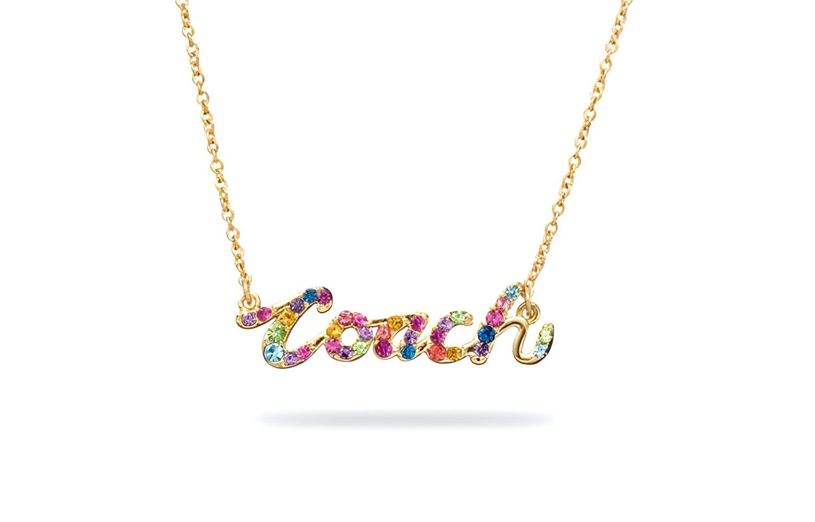 Ожерелье COACH Rainbow - изображение 2