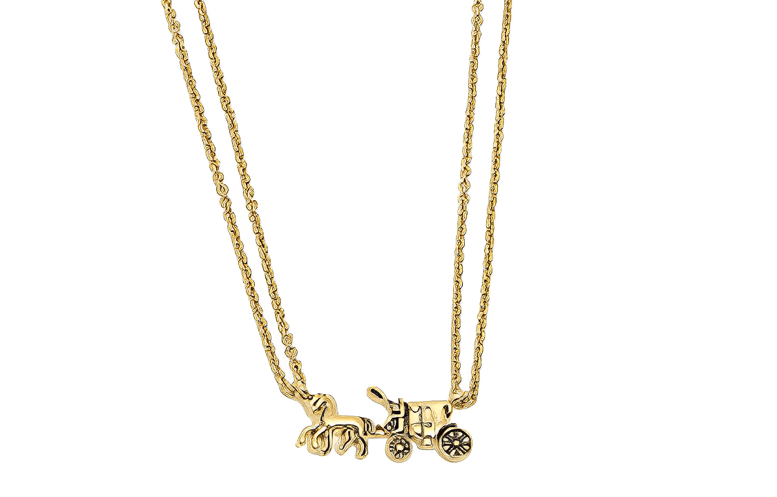 Ожерелье COACH Necklace - изображение 1