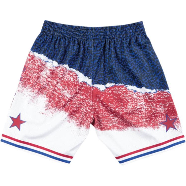 Баскетбольные шорты Mitchell Ness SW 2003 - изображение 2
