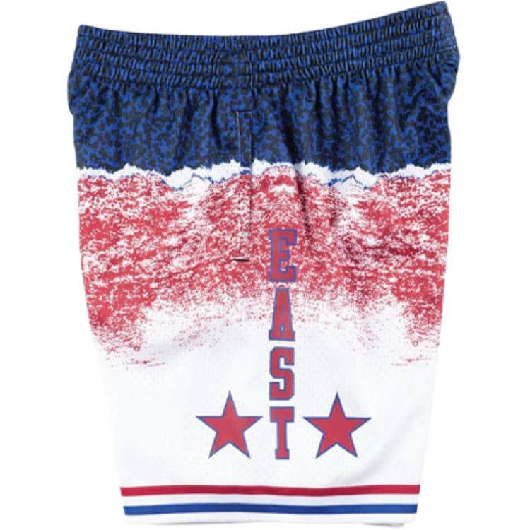 Баскетбольные шорты Mitchell Ness SW 2003 - изображение 3