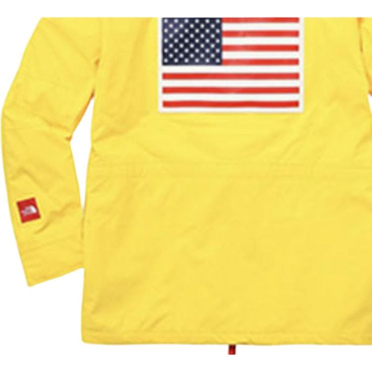 Демисезонная куртка Supreme x THE NORTH FACE SS17 TNF - изображение 5