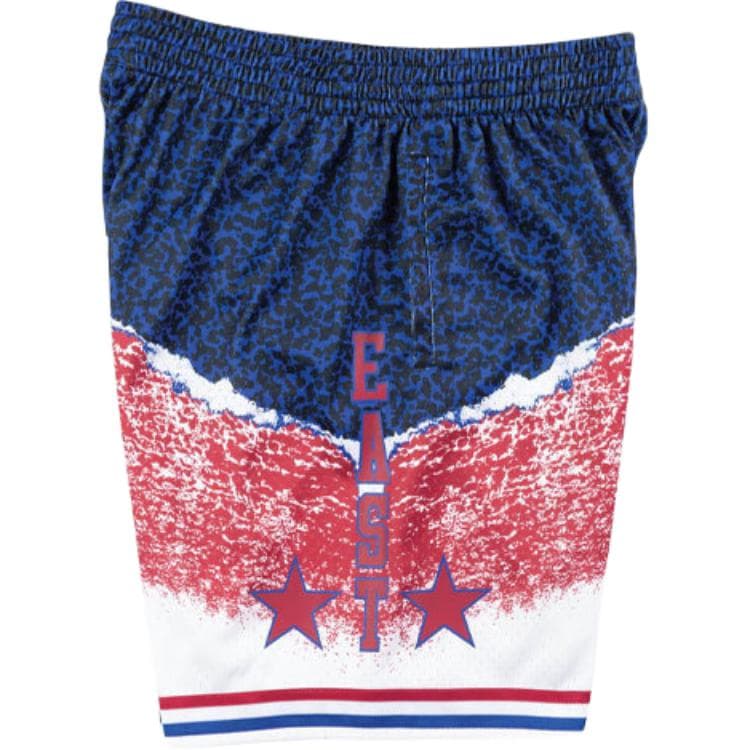 Баскетбольные шорты Mitchell Ness SW 2003 - изображение 4